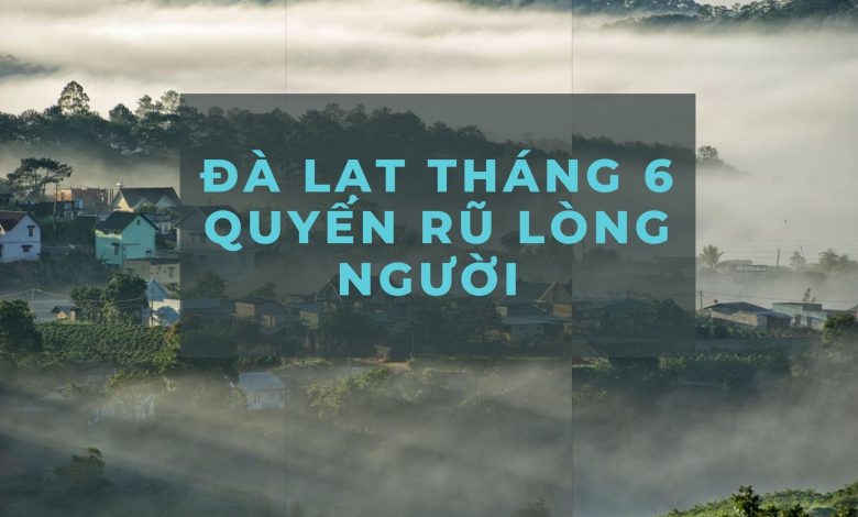 Review Tất Tần Tật về du lịch Đà Lạt tháng 6