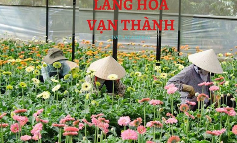 Tham quan Làng Hoa Vạn Thành Đạt Lạt 49