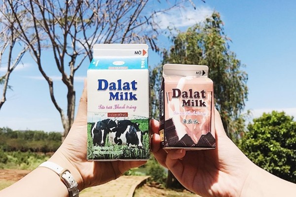 Thưởng thức sữa Dalat Milk 
