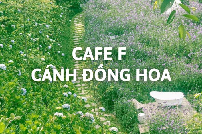 Khám Phá Quán Cafe F Cánh Đồng Hoa Đà Lạt