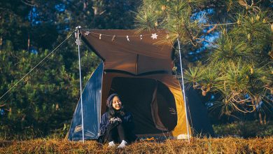 cắm trại tại cây thông cô đơn