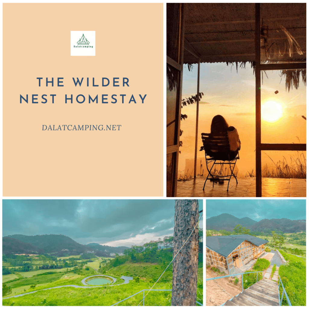 The Wilder Nest HOMESTAY 