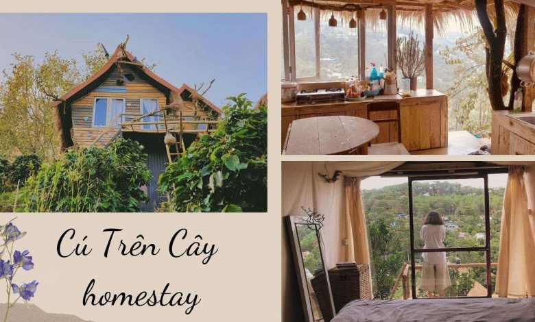 Review Cú Trên Cây Homestay Những Ngôi Nhà Trên Lưng Đồi Độc Lạ