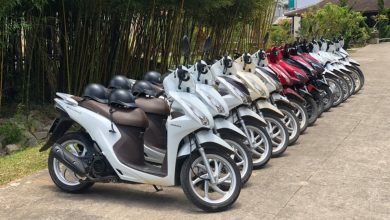 10 địa chỉ cho thuê xe máy uy tín chất lượng nhất Phan Thiết