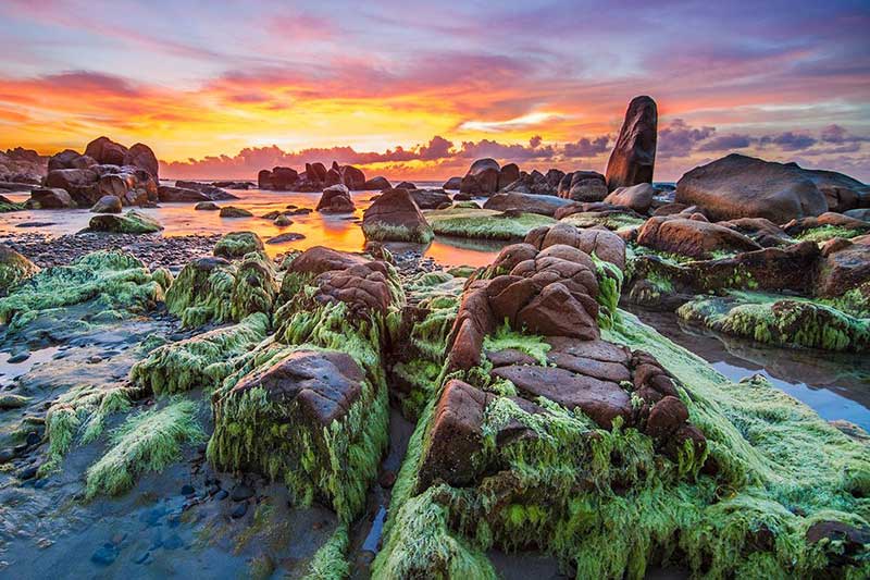 Bãi biển đá Cổ Thạch Bình Thuận bức tranh từ thiên nhiên 