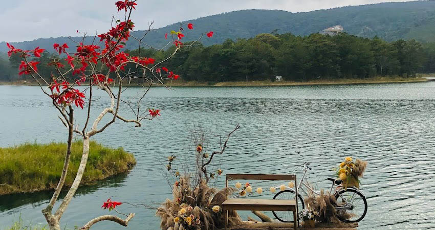View hồ Tuyền Lâm cực đẹp 